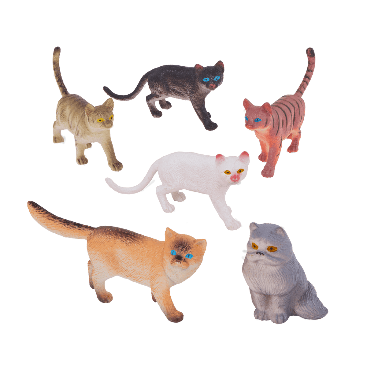 Dogs and Cats World