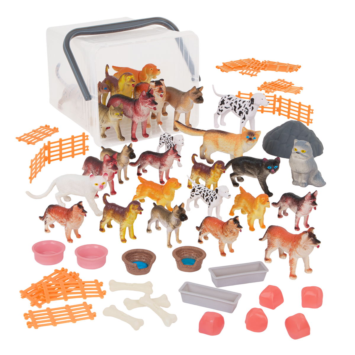 Dogs and Cats World