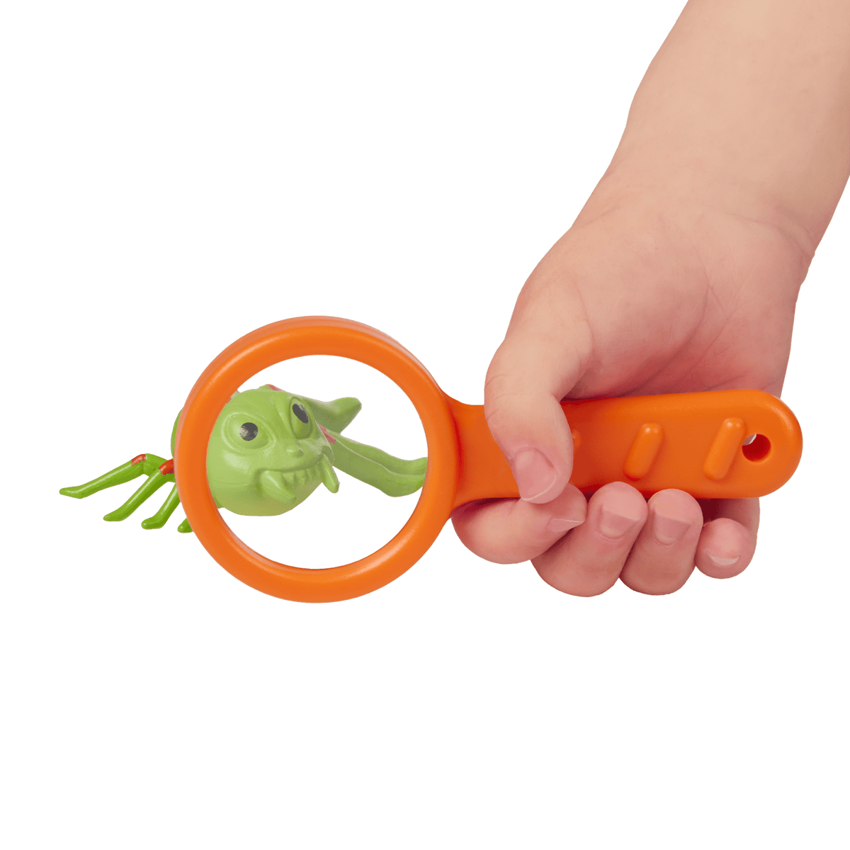 Inspect an Insect Set