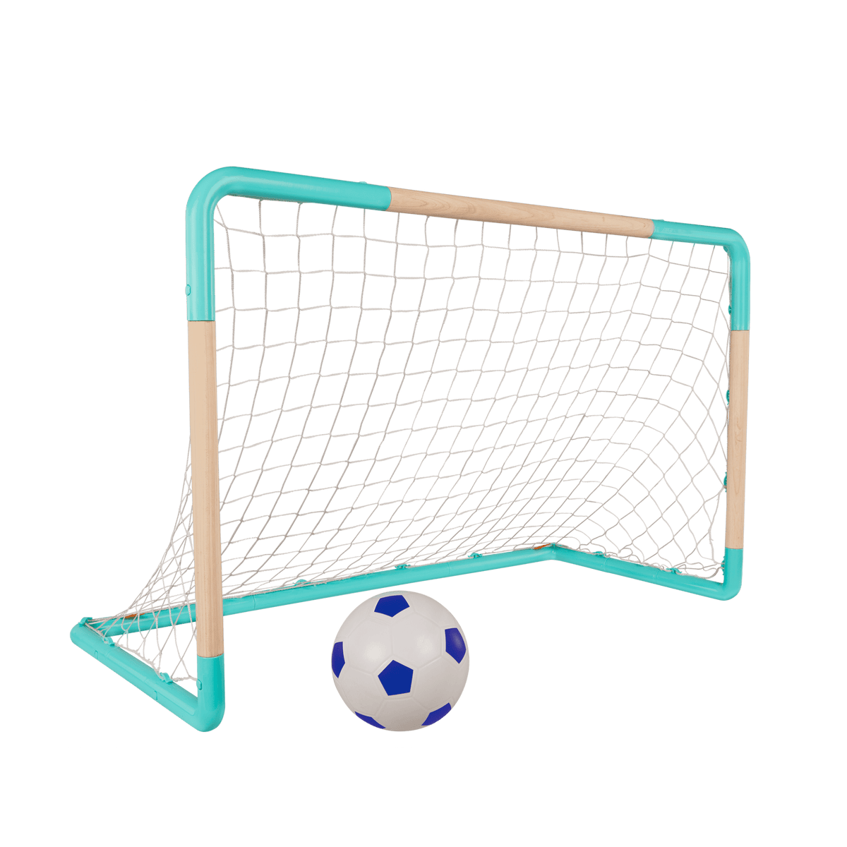 Soccer Net and Ball
