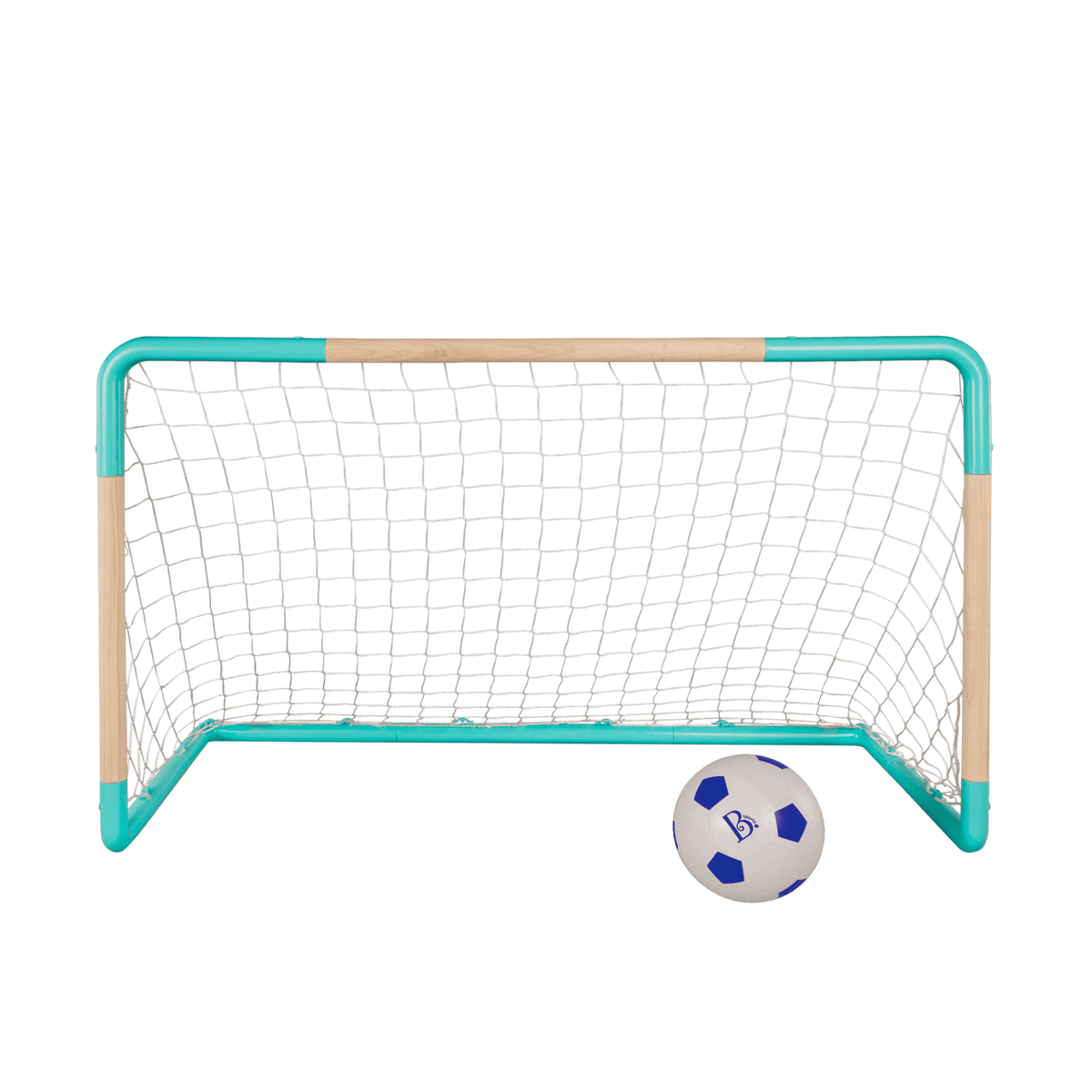 Soccer Net and Ball