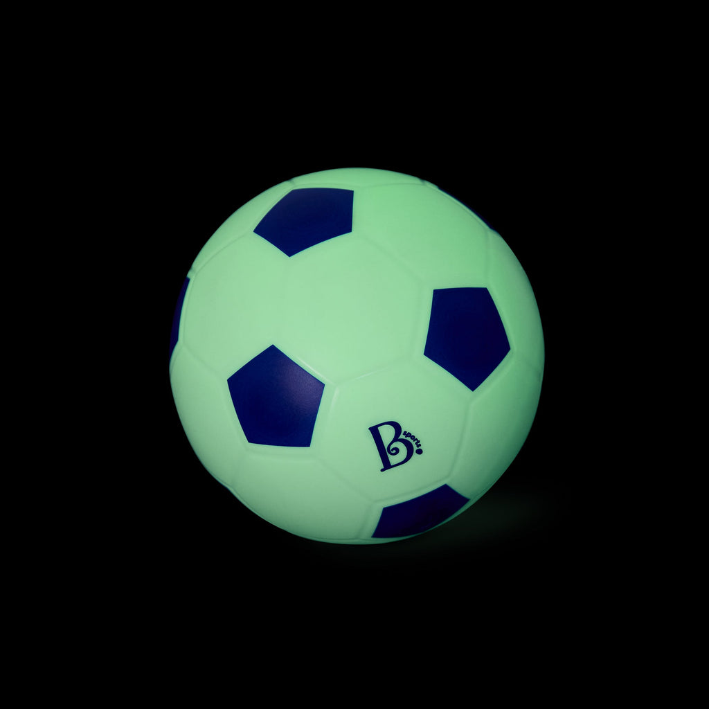 Soccer Net and Ball