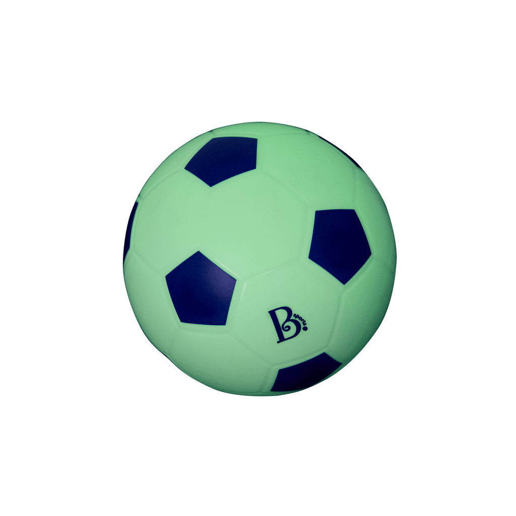 Soccer Net and Ball